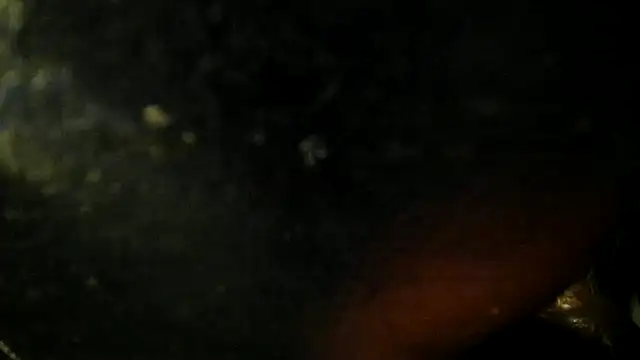 leatherz69 online show from 05/22/26, 02:42
