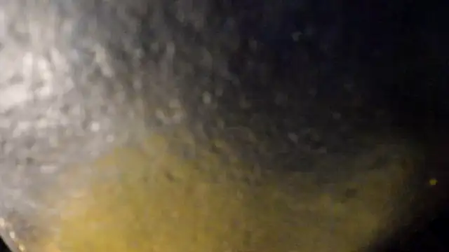 leatherz69 online show from 05/29/26, 04:07