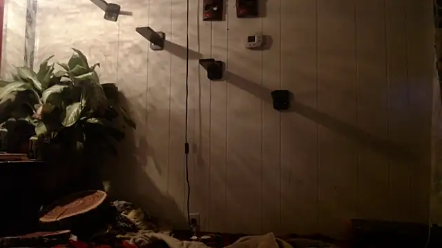 UnCuTupTheBuTT online show from 11/16/25, 09:25