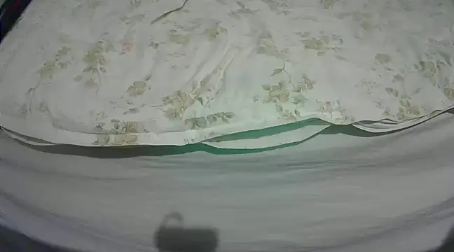 Tiger202441 online show from 03/04/25, 09:32