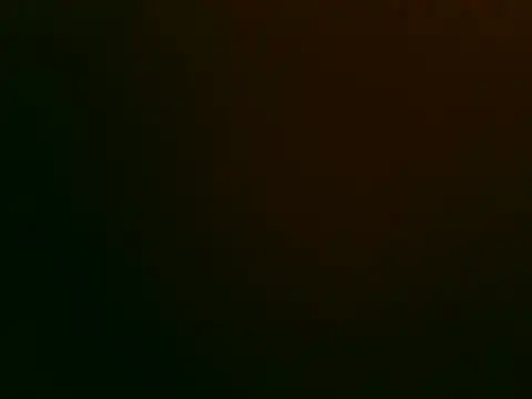 Tiger202441 online show from 11/12/25, 10:46