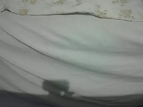 Tiger202441 online show from 02/13/25, 11:15