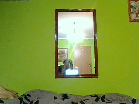 Tiger202441 online show from 01/07/26, 08:25