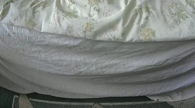 Tiger202441 online show from 02/27/25, 10:44