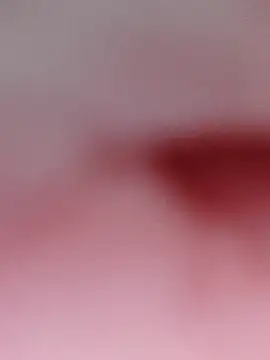 NORAMY online show from 05/11/26, 07:22