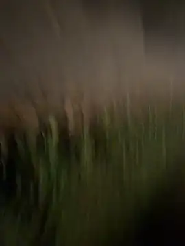 Snapshot of esteraulxxx chatting on 12/04/25, 06:12 esteraulxxx online show from 12/04/25, 06:12