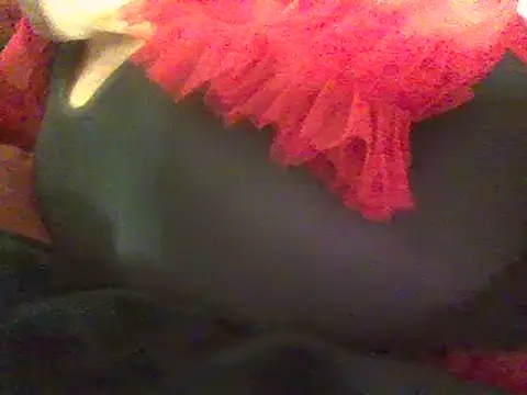 RoxiRedXXX online show from 03/08/25, 05:01