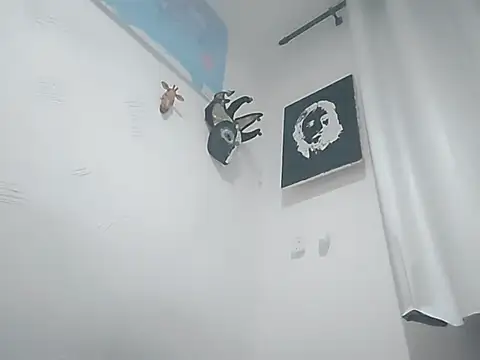 Snapshot of Binhosex2024 chatting on 02/27/25, 06:24 Binhosex2024 online show from 02/27/25, 06:24