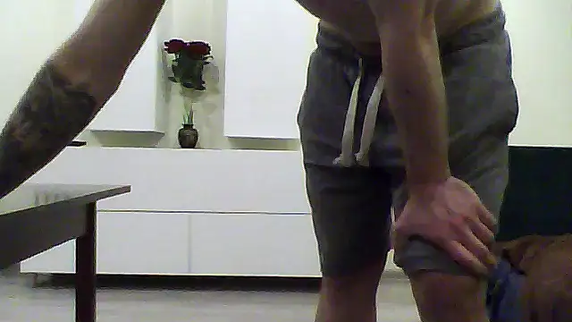 shufflercat online show from 04/17/26, 09:17