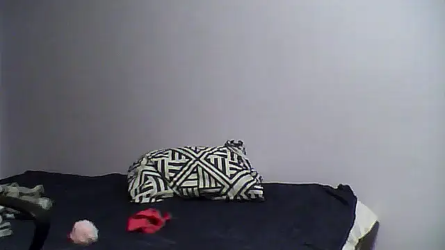 shufflercat online show from 03/10/26, 09:52