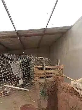 Rober2230 online show from 01/12/25, 07:53