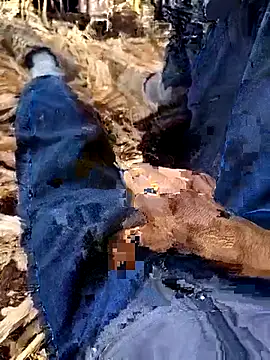 murokkk31 online show from 12/04/25, 08:35