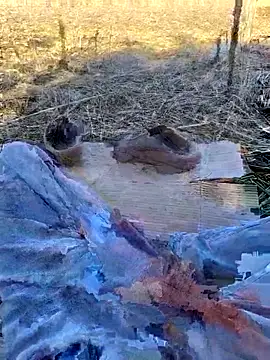 murokkk31 online show from 11/02/25, 10:53