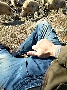 murokkk31 online show from 02/18/25, 07:21