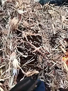 murokkk31 online show from 11/27/25, 04:02