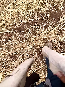 murokkk31 online show from 10/21/25, 04:56