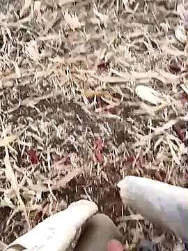 murokkk31 online show from 09/15/25, 02:56