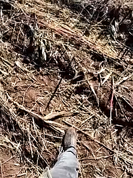 murokkk31 online show from 12/14/25, 08:42