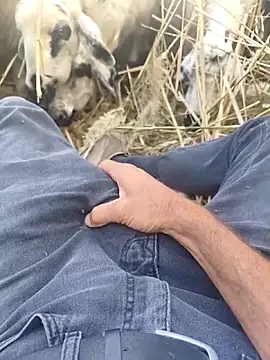 murokkk31 online show from 10/29/25, 09:30