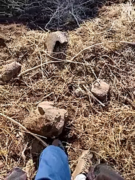 murokkk31 online show from 12/03/25, 06:25