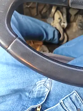 murokkk31 online show from 01/08/26, 08:31