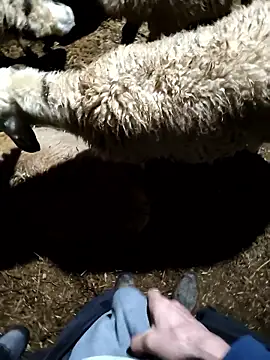 murokkk31 online show from 01/09/26, 11:33