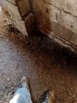 murokkk31 online show from 01/14/26, 07:12