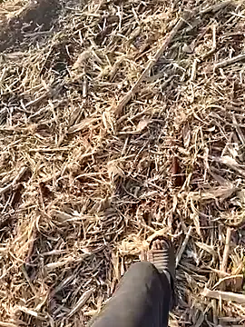 murokkk31 online show from 09/30/25, 01:50