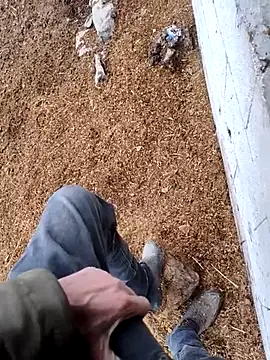 murokkk31 online show from 11/15/25, 12:42