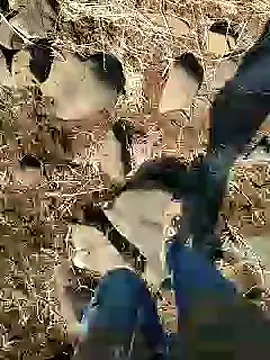 murokkk31 online show from 01/25/25, 09:15