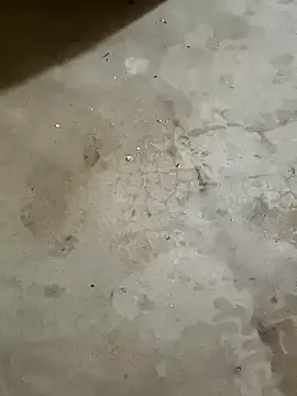 Snapshot of samriyat chatting on 10/22/25, 04:45 samriyat online show from 10/22/25, 04:45