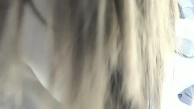 celestica rose online show from 02/02/26, 10:31