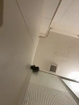 Pablo666666 hot online show from 03/31/26, 07:38