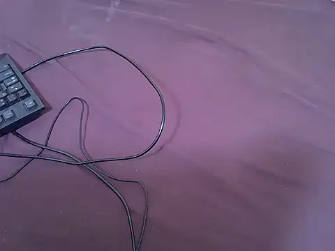 Snapshot of tasty_piee chatting on 02/13/26, 01:33 tasty piee online show from 02/13/26, 01:33