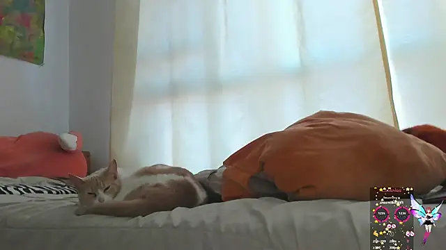 Snapshot of linnie_ chatting on 01/30/25, 11:55 linnie  online show from 01/30/25, 11:55