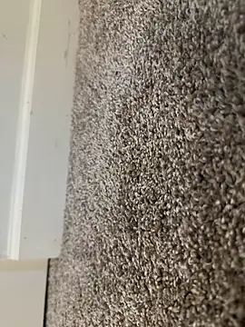 Snapshot of Big-dick_1 chatting on 12/15/24, 03:20 Big-dick 1 online show from 12/15/24, 03:20