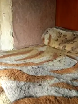 Holly Bette online show from 03/13/26, 06:35