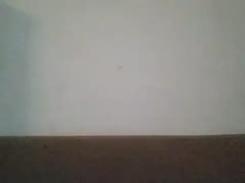 SmallGoodNutts online show from 02/03/25, 07:40