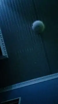 Dickey sa online show from 02/13/26, 08:31