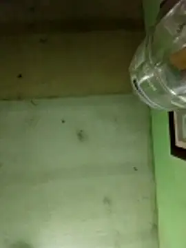 Snapshot of Alonsomadeira chatting on 12/17/25, 06:07 Alonsomadeira online show from 12/17/25, 06:07