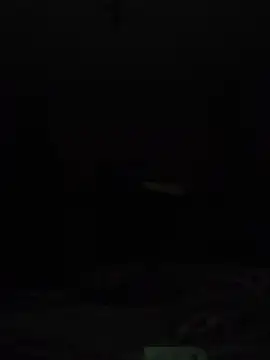 wlammi ptr online show from 09/14/25, 12:22