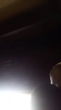 wlammi ptr online show from 12/19/25, 10:06