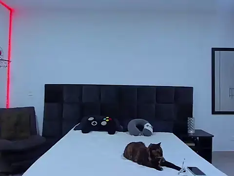 Alexander Martines online show from 01/12/26, 11:31