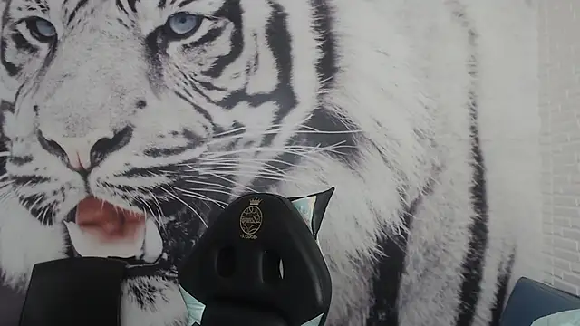 Salomeediaz  online show from 03/02/25, 12:58