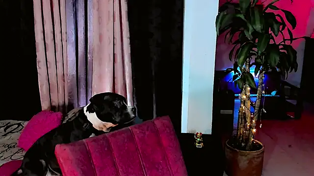 Snapshot of the-horus-girl chatting on 02/15/26, 11:47 the-horus-girl online show from 02/15/26, 11:47