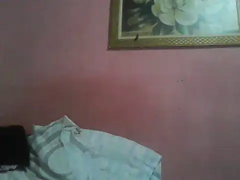 Bonecagulosa online show from 06/04/26, 08:57