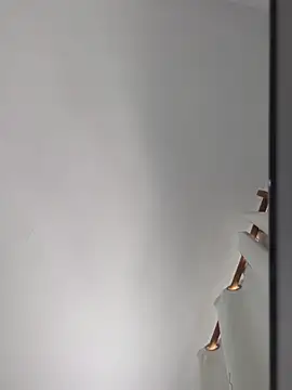 publicsir online show from 11/14/25, 04:10