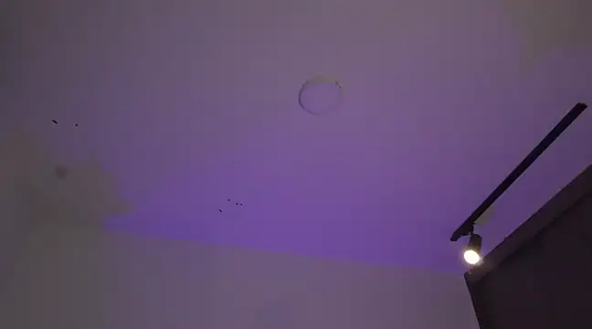 appolo allen online show from 03/17/25, 07:24