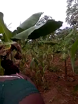 Sherry she online show from 11/28/25, 03:39