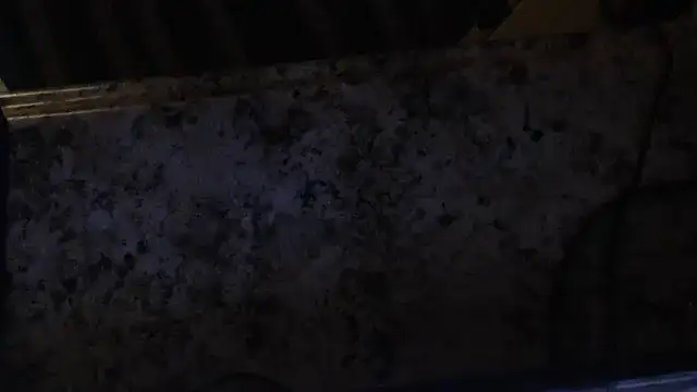 joeydee1 online show from 02/19/25, 03:06